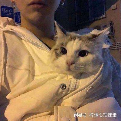 游你盒子手机版下载