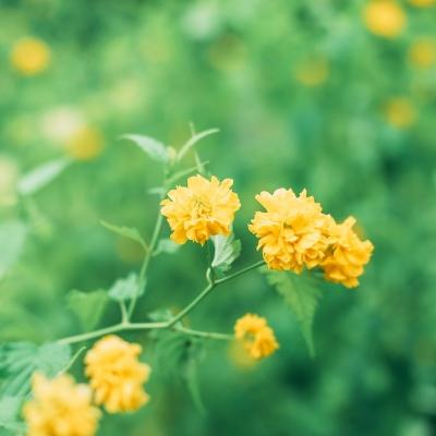 成天刀塔apk360版下载